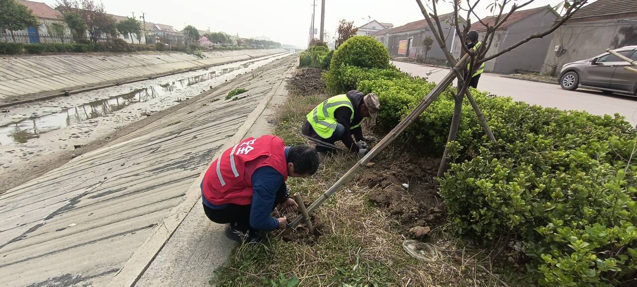 QQ圖片20260402085238